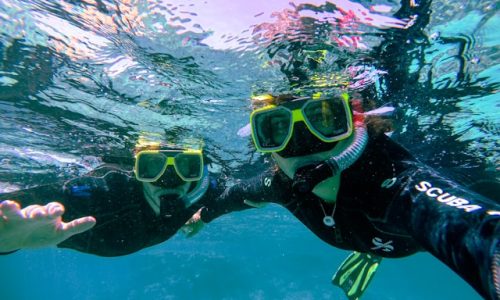 Mnemba Island Dolphin and Snorkeling Tours